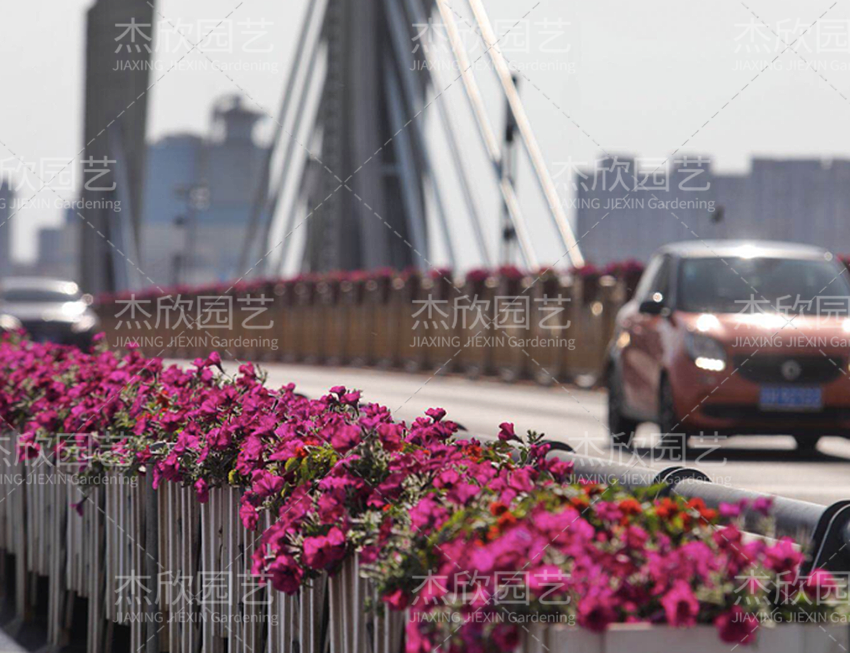 鋁合金創(chuàng)意花箱有哪些款式？